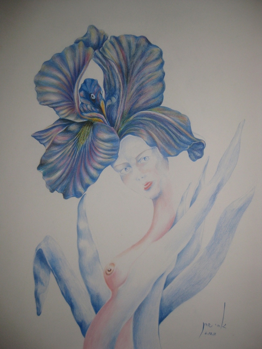 Ravishing Iris  H 79 cm x  W49 cm Colored Pencils & Ink